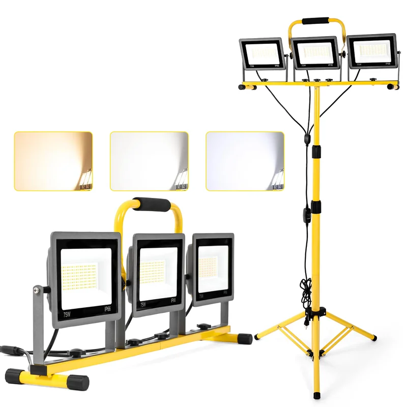 lightsdaddy843205