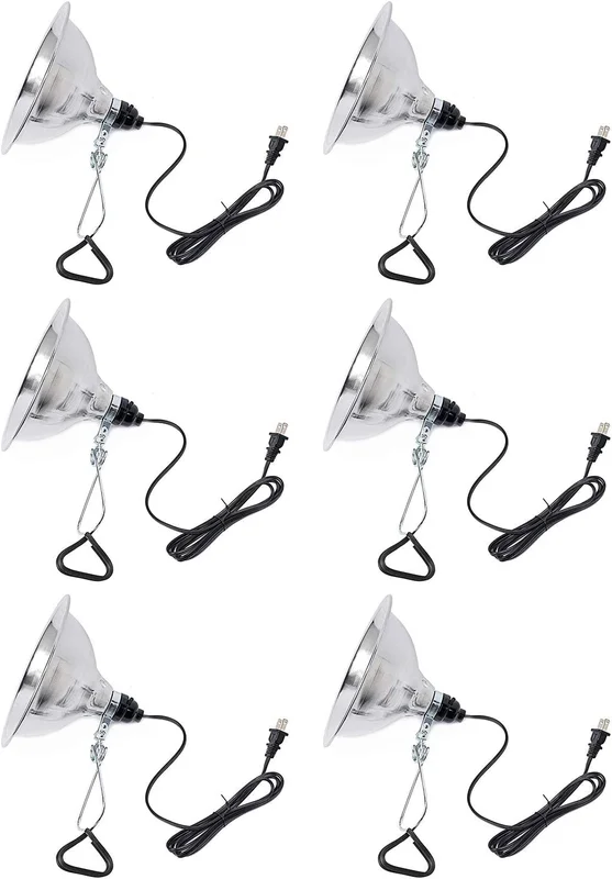 lightsdaddy844532