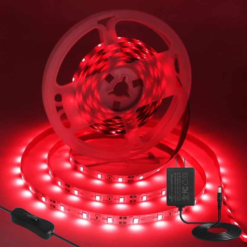 lightsdaddy849742