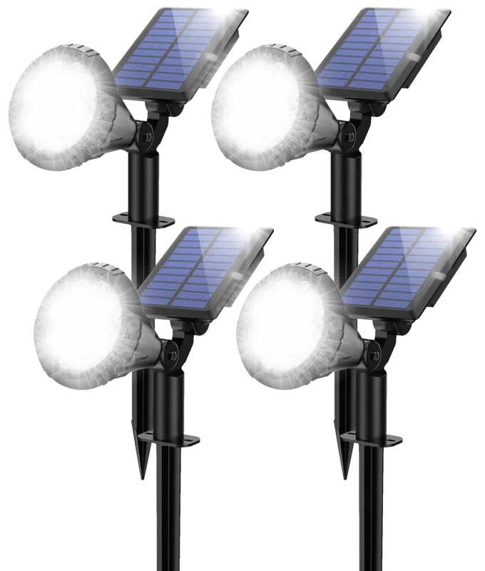 lightsdaddy851363