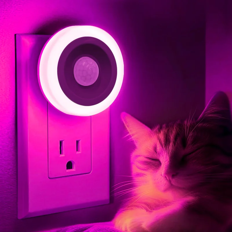 lightsdaddy853156