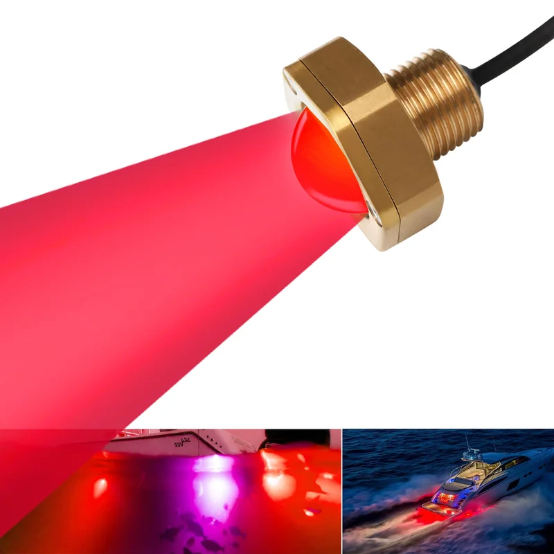 lightsdaddy858187