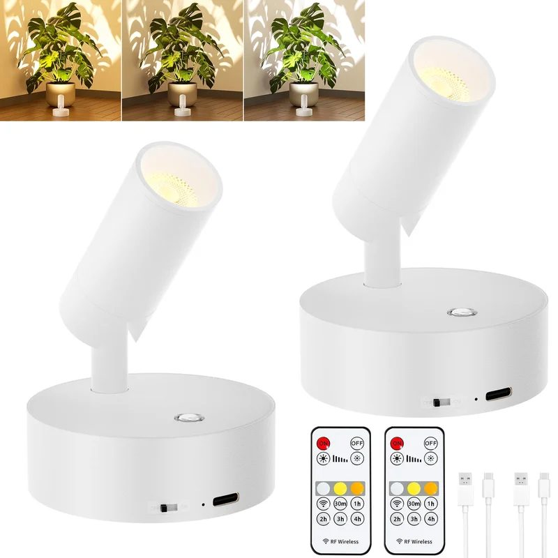 lightsdaddy859638