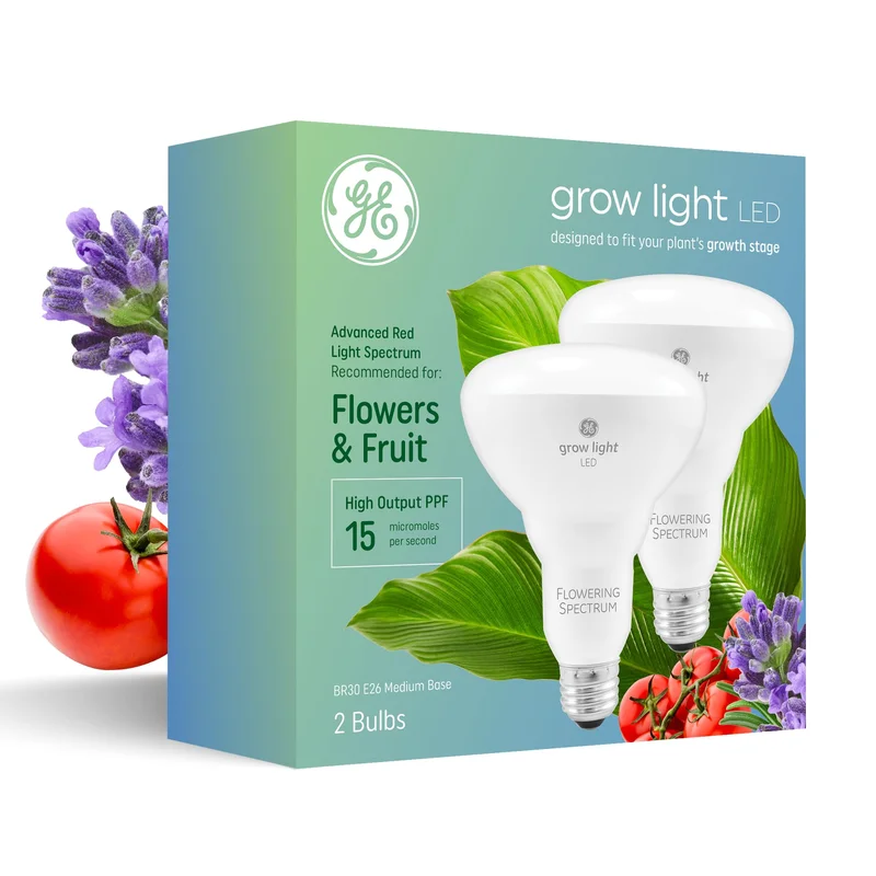 lightsdaddy863087