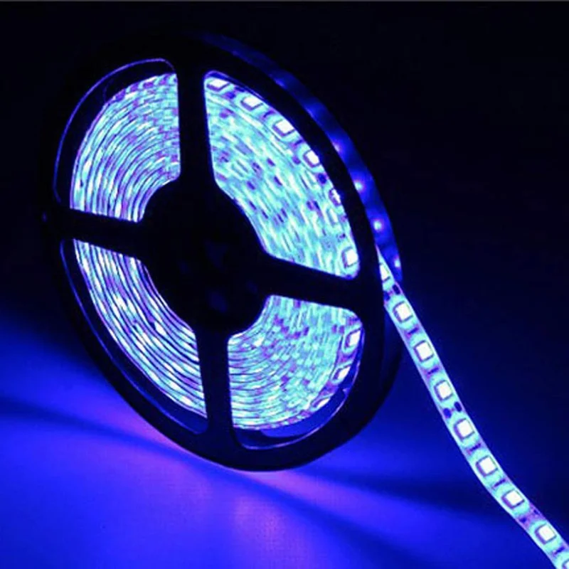 lightsdaddy863132