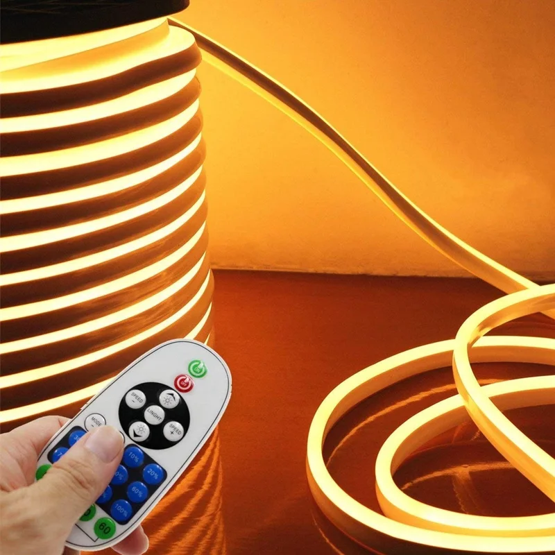 lightsdaddy863264