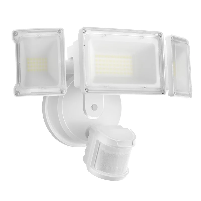 lightsdaddy863994