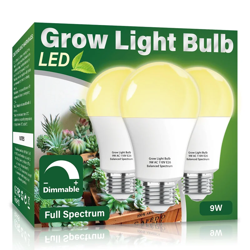 lightsdaddy86826