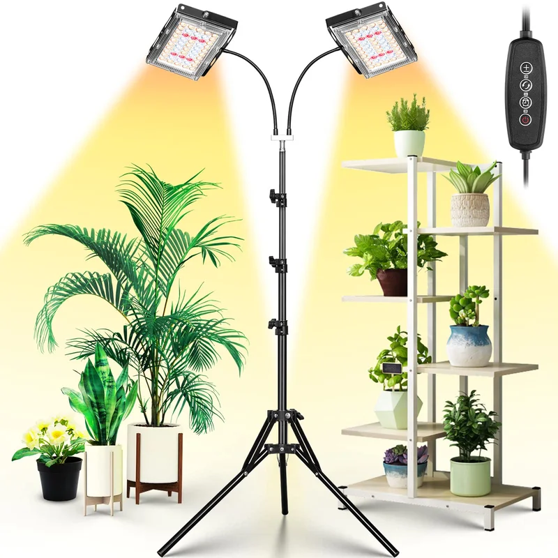 lightsdaddy869165