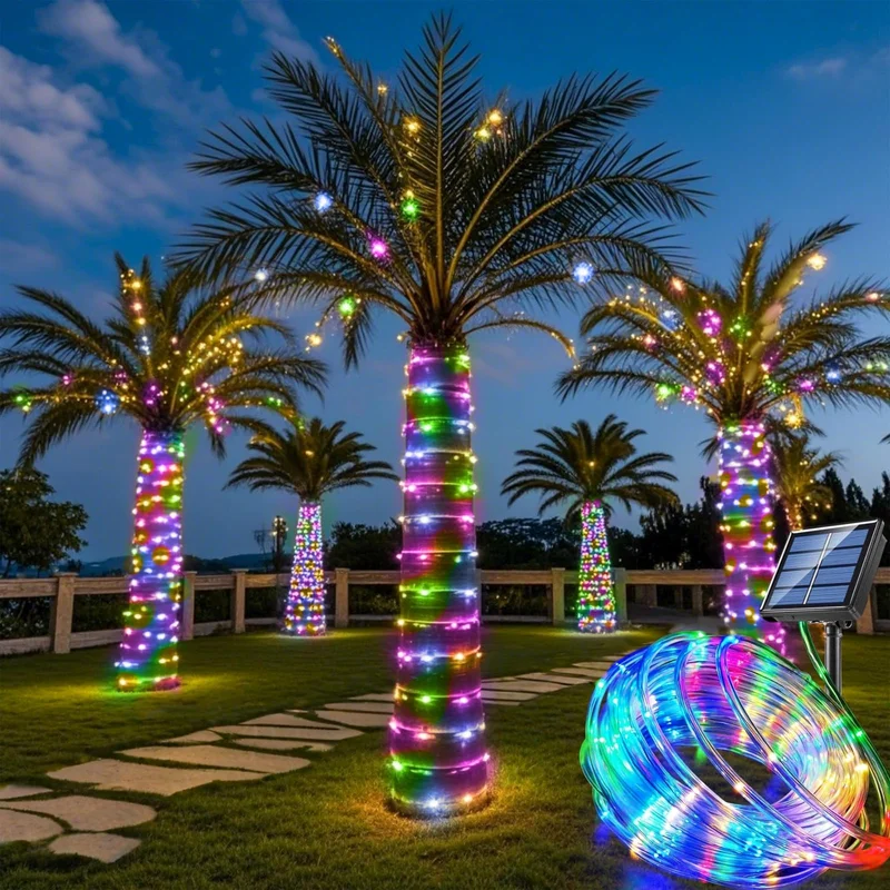 lightsdaddy869235