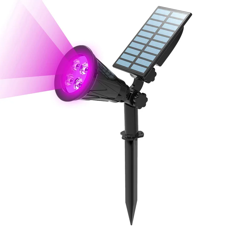 lightsdaddy871469