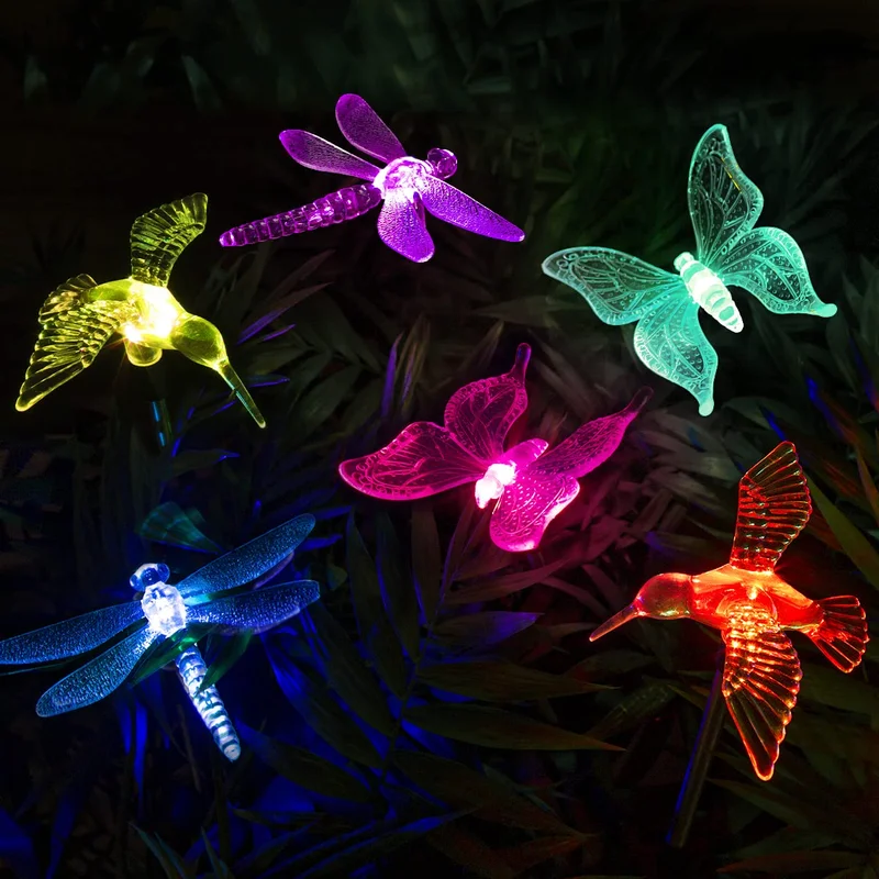 lightsdaddy873169