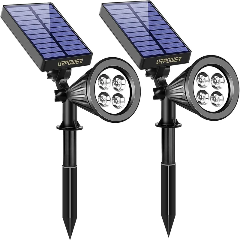 lightsdaddy881335