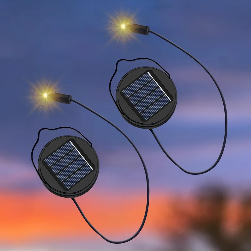 lightsdaddy896196