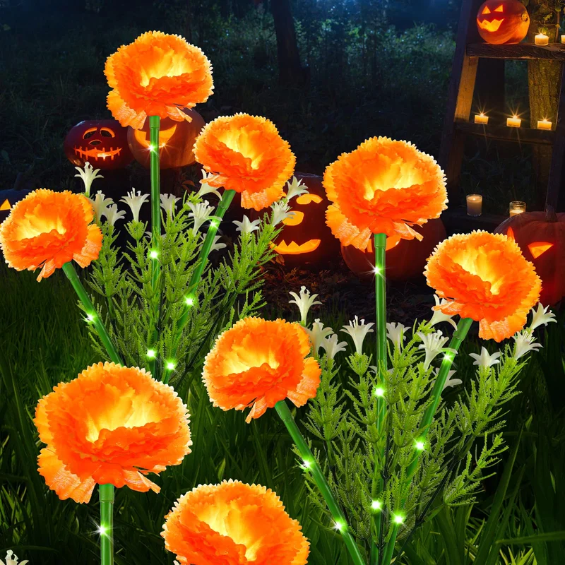 lightsdaddy898468