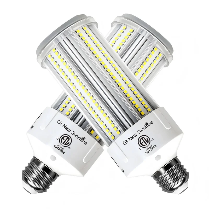 lightsdaddy902206