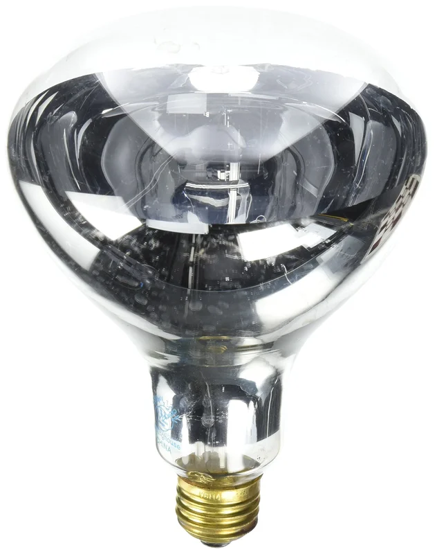 lightsdaddy924836