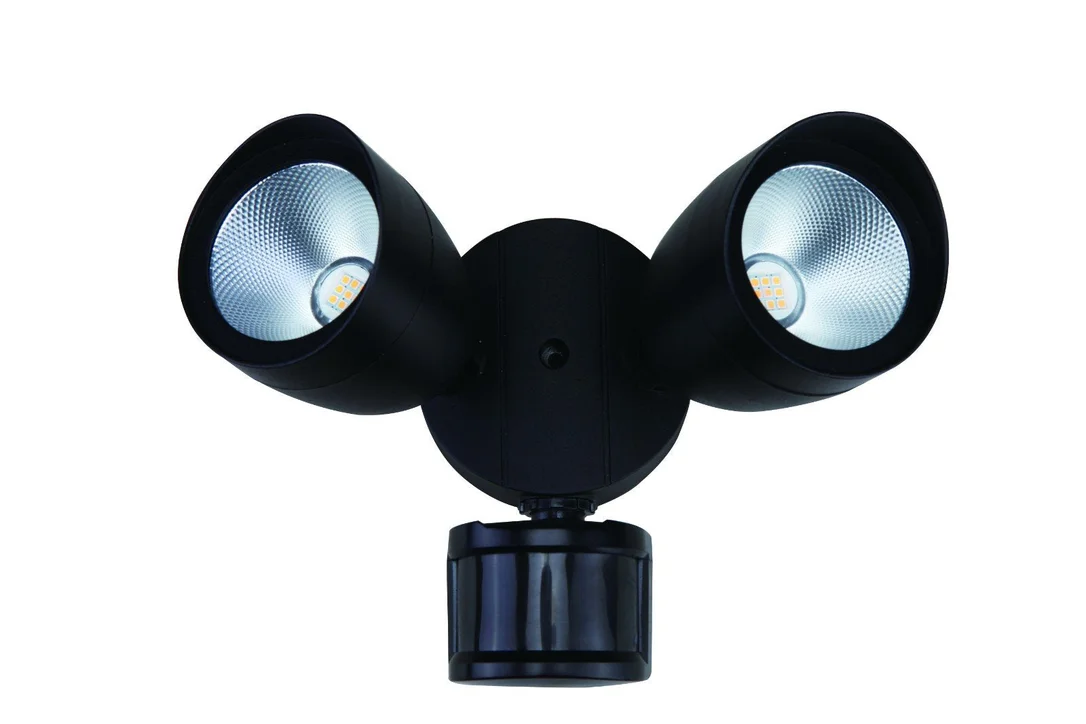 lightsdaddy939856