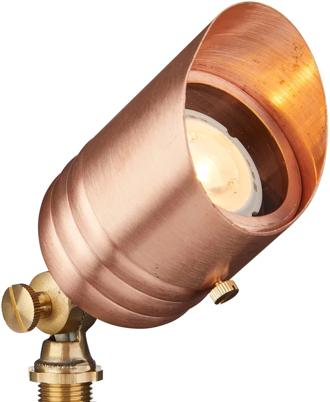 lightsdaddy941772