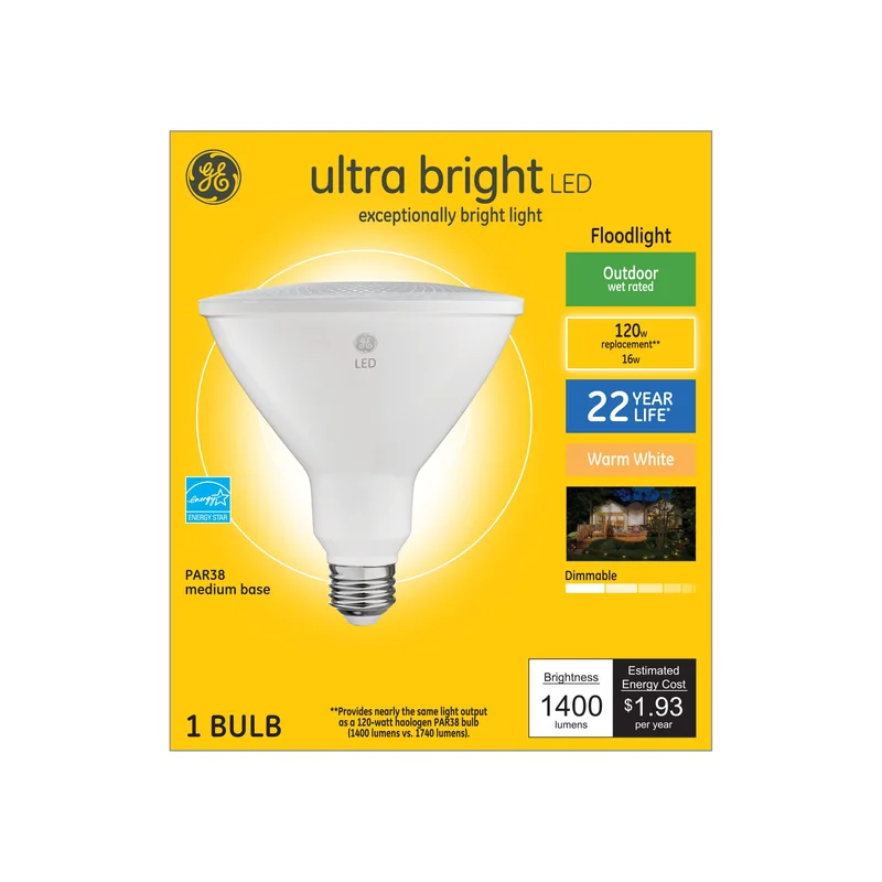 lightsdaddy944956