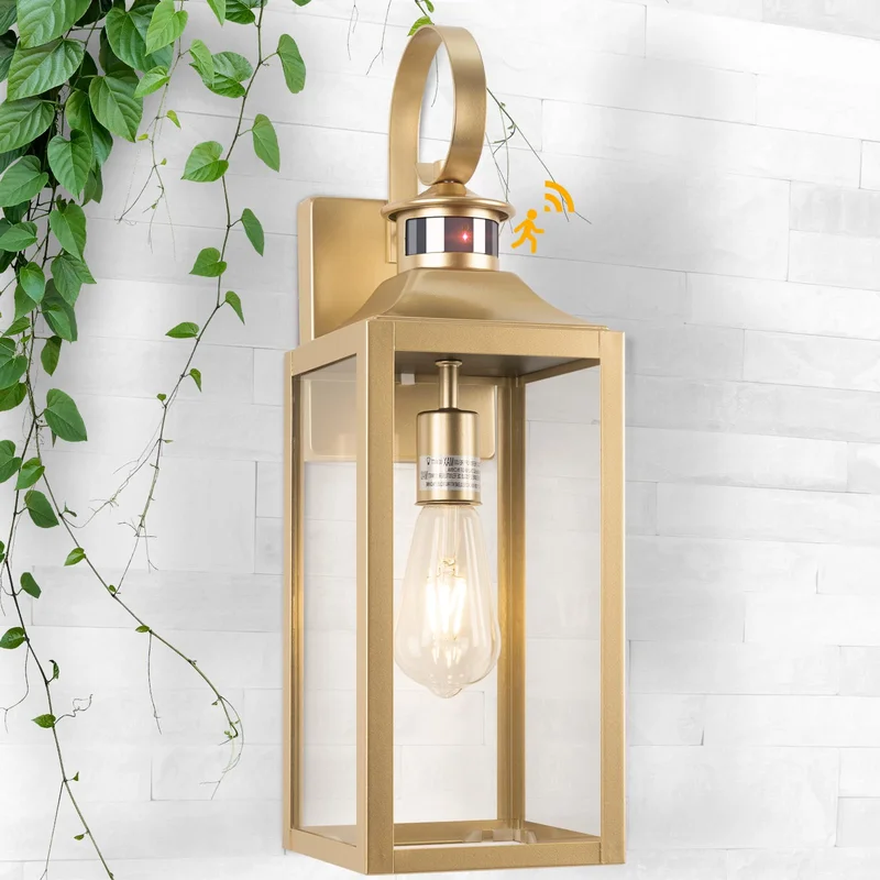 lightsdaddy96586