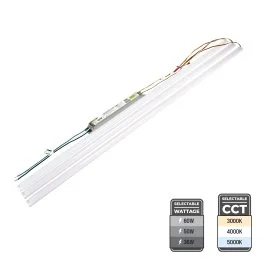 superbrightleds83853