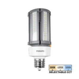 superbrightleds98491