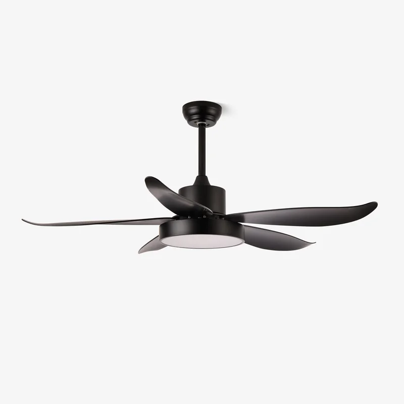 vakkerlight147662