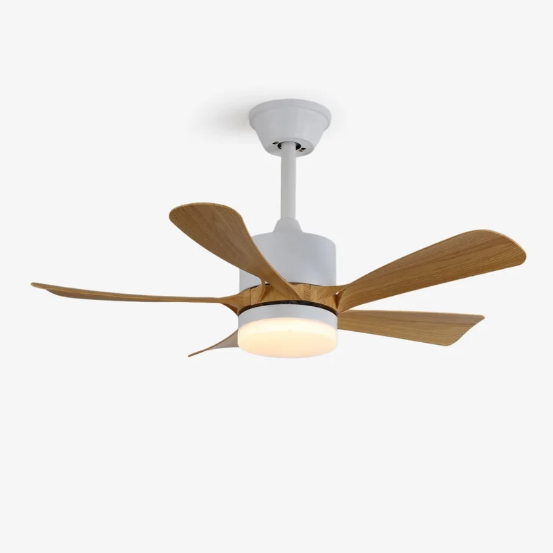 vakkerlight148885